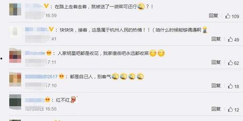美食综艺爆料大全下载最新,揭秘热门节目幕后故事与精彩瞬间