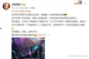 王鑫荣耀皮肤爆料视频下载,全新视觉盛宴，揭秘神秘英雄风采