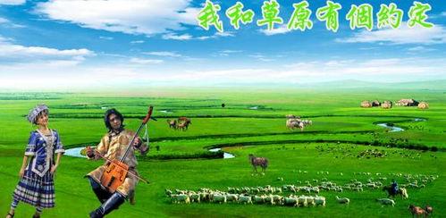 日日草在线观看,在线观看，探索青春成长的独特魅力