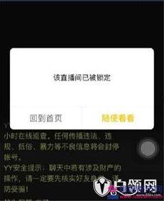 二哥爆料视频大全,揭秘幕后真相，带你领略真实世界