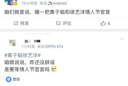 娱乐圈真实爆料外网小说,揭秘真实爆料背后的故事