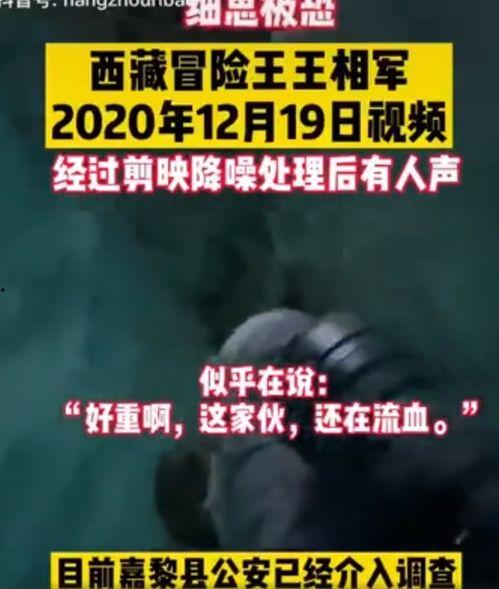 爆料诡异视频大全最新版,惊悚瞬间，揭秘未知世界