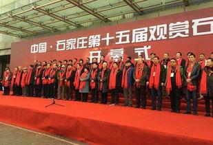 石家庄第二胎爆料新闻,新规解读与家长心声