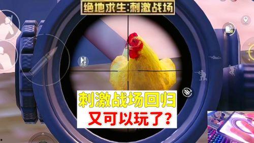 和平科技最新爆料新闻,揭秘未来科技前沿突破与挑战