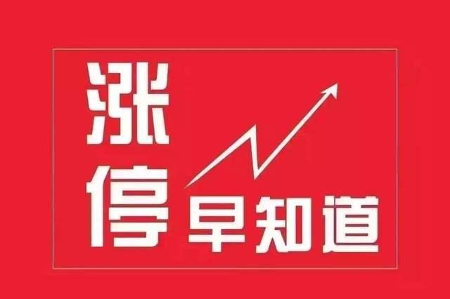 最新爆料早知道,最新爆料早知道，提前洞察行业动态与热点事件
