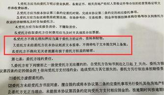 楼盘独家爆料新闻稿怎么写,XX楼盘背后的惊人内幕