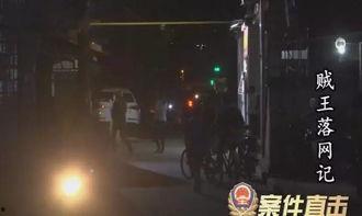 贼王最新爆料视频,最新爆料视频深度解析