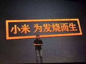 喜茶最新爆料视频曝光,独家爆料视频揭秘神秘装修与新品