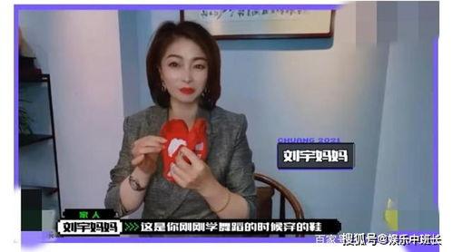 小凤妈妈爆料视频大全集,揭秘家庭生活点滴