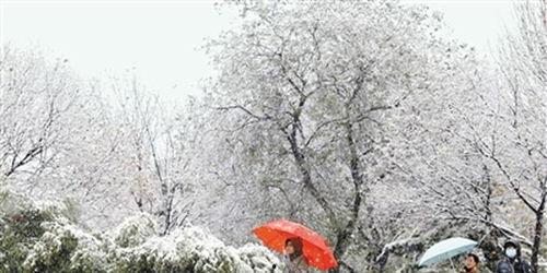 西安爆料大雪视频,街头巷尾银装素裹，网友视频记录冬日美景”