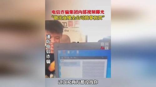 爆料公司视频,一窥企业真实面貌