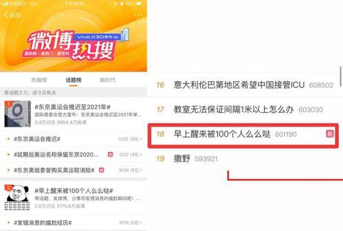 火爆视频爆料大全免费观看,免费观看，揭秘热门瞬间