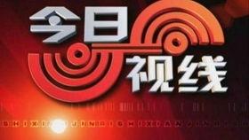 汕头今日爆料电话多少,揭秘电话号码背后的惊人真相！”