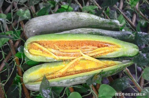 网红吃的水瓜叫什么,揭秘水瓜的独特魅力