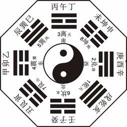 八卦最新爆料解说,最新爆料背后的惊人真相