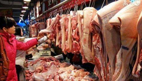 猪肉爆料视频大全最新版,揭秘行业黑幕，食品安全再引关注
