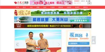 荆楚网今日爆料新闻直播,最新热点事件深度解析