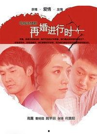 再婚进行时在线观看,情感纠葛与家庭重建的温情之旅