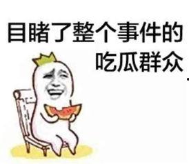 娱乐吃瓜扎心文案,揭秘明星背后的辛酸与真相