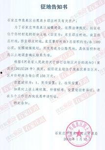 石家庄热点爆料新闻最新,突发事件引发全城关注！