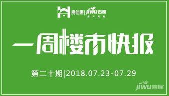 石家庄热点爆料新闻最新,突发事件引发全城关注！