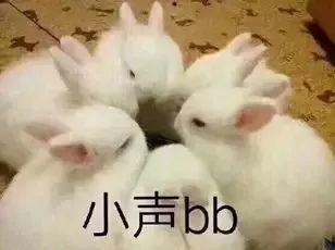 什么兔的网红吃瓜,揭秘娱乐圈幕后真相