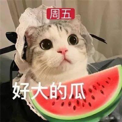什么兔的网红吃瓜,揭秘娱乐圈幕后真相