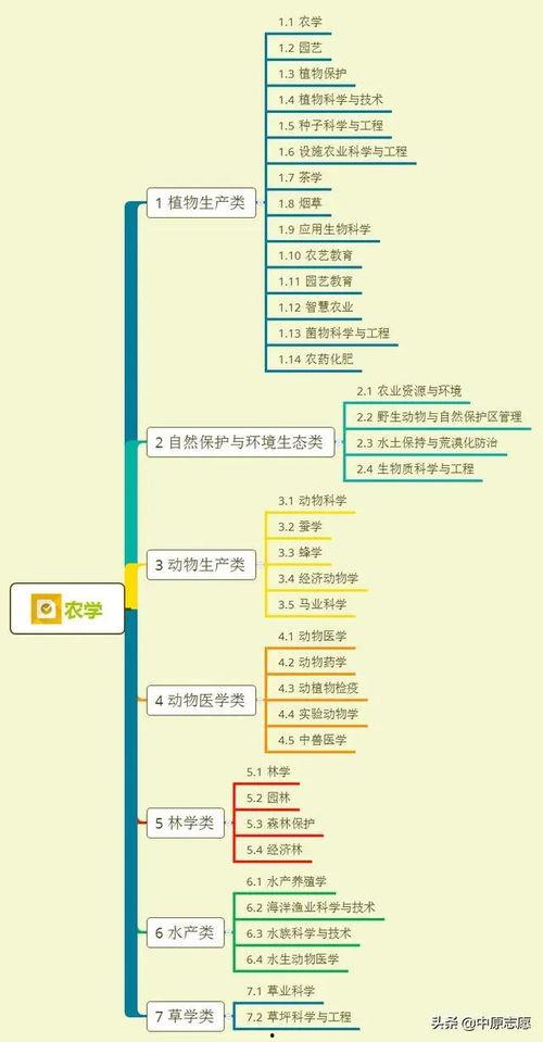 厨子爆料大鹏视频大全集,揭秘视频大全集背后的精彩故事