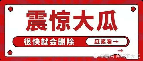 八卦吃瓜免费分享,免费分享，揭秘娱乐圈幕后故事