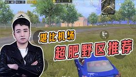 和平精英最新舞蹈爆料,揭秘最新爆料舞蹈亮点