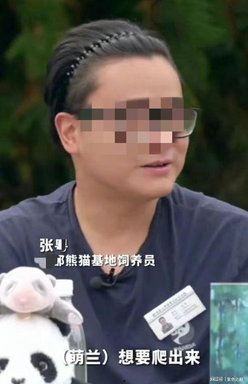 网红爸爸吃瓜南京,揭秘网红圈背后的故事