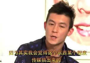 陈冠希爆料谢霆锋视频播放,真相背后引人深思