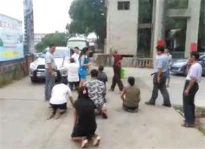 县委书记爆料新闻视频,新闻视频背后的惊人真相
