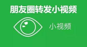 小红小绿爆料买房视频,买房视频背后的真实购房攻略