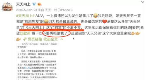 娱乐圈爆料员,明星幕后真相大曝光！