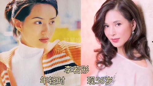 520娱乐圈的大爆料,明星幕后故事及惊人内幕曝光