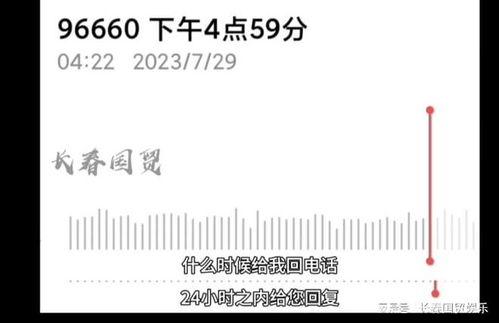长春客服最新爆料信息网,揭秘信息网背后的精彩故事