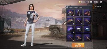 和平精英ss8最新军需爆料,和平精英新军需爆料，神秘装备引期待