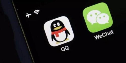 滚滚伙伴内鬼爆料视频下载,滚滚伙伴内部爆料视频深度解析