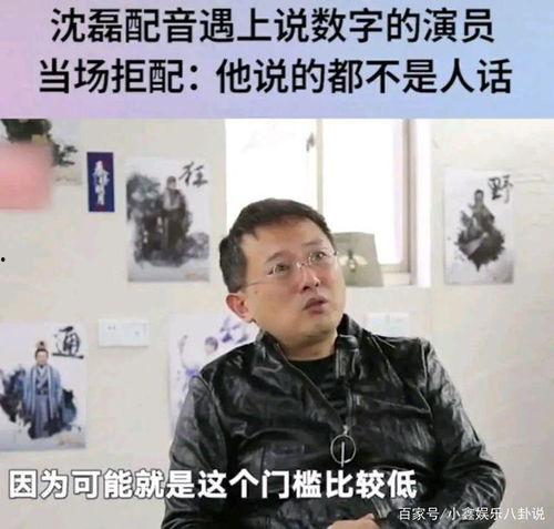 娱乐圈爆料配音,娱乐圈配音大揭秘
