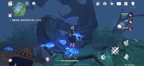 雨神爆料自己怎么做的视频,他是如何制作神奇音乐视频的？