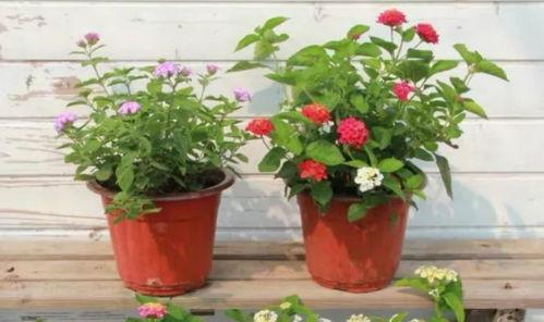 宁波蛋糕店爆料视频最新,食品安全问题引关注，消费者权益如何保障？