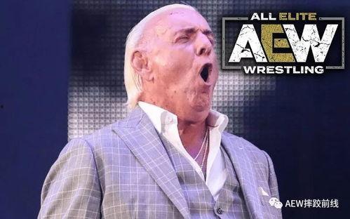 托尼老板爆料视频大全集,揭秘幕后真相与精彩瞬间