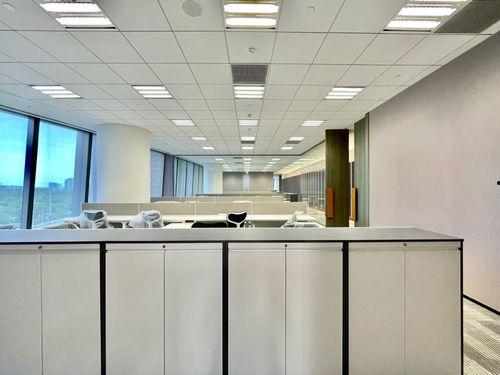 托尼老板爆料视频大全集,揭秘幕后真相与精彩瞬间