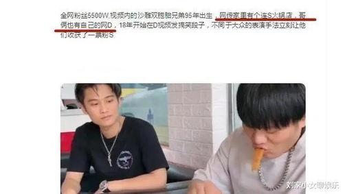 小杨哥兄弟爆料视频大全,揭秘幕后真相与精彩瞬间