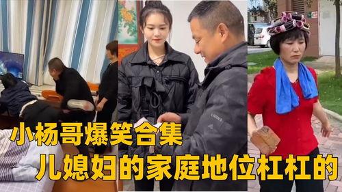 小杨哥兄弟爆料视频大全,揭秘幕后真相与精彩瞬间