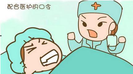 千代爆料植物人视频,千代爆料视频引发社会关注