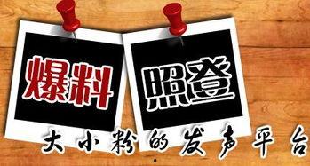 新闻爆料 平台,真相与谣言的较量”