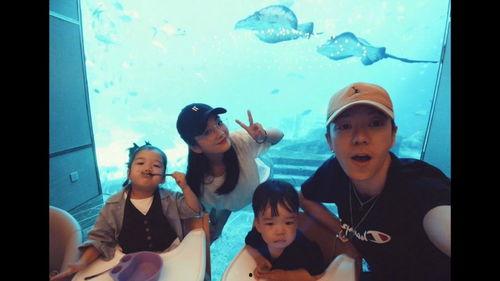 娱乐圈爆料王栎鑫,娱乐圈爆料王，揭秘明星幕后故事