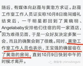 爆料刘姓明星视频大全最新,揭秘娱乐圈不为人知的秘密